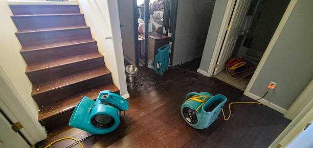 Best Flood restoration services  in Reeds Spring, MO