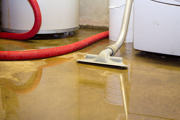 Best Carpet water damage restoration  in Reeds Spring, MO