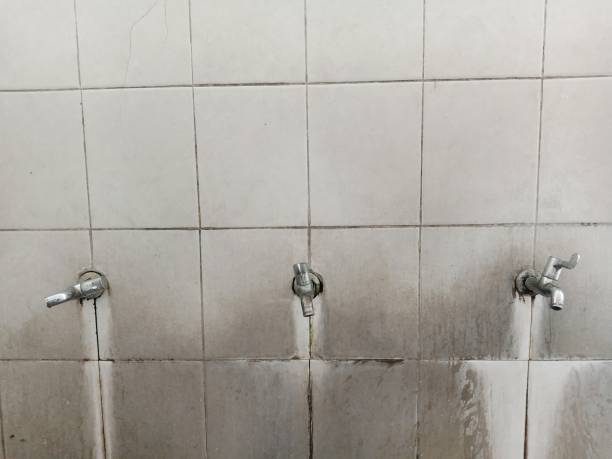 Best Basement water damage restoration  in Reeds Spring, MO
