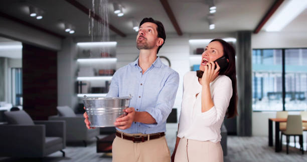 Best Water damage restoration near me  in Reeds Spring, MO